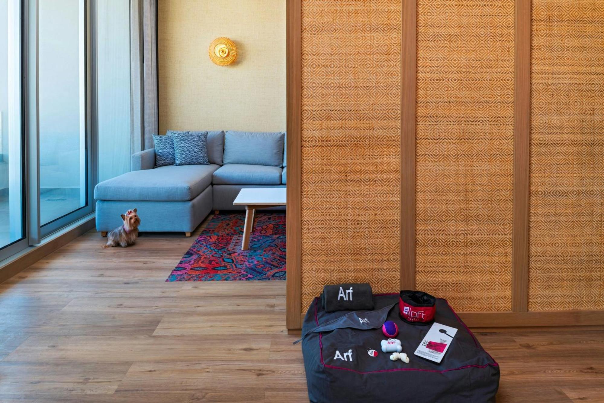 Aloft Playa Del Carmen Hotel Exterior foto A room divider